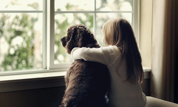 Obligée de se séparer de sa chienne à l&rsquo;adolescence, une femme la retrouve miraculeusement en adoptant une chienne âgée