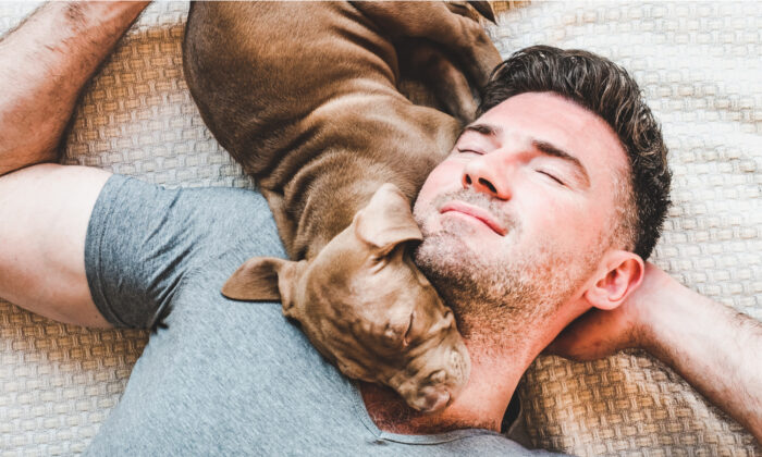 Les retrouvailles d&rsquo;un pompier et du chiot pitbull qu&rsquo;il a sauvé sont trop mignonnes