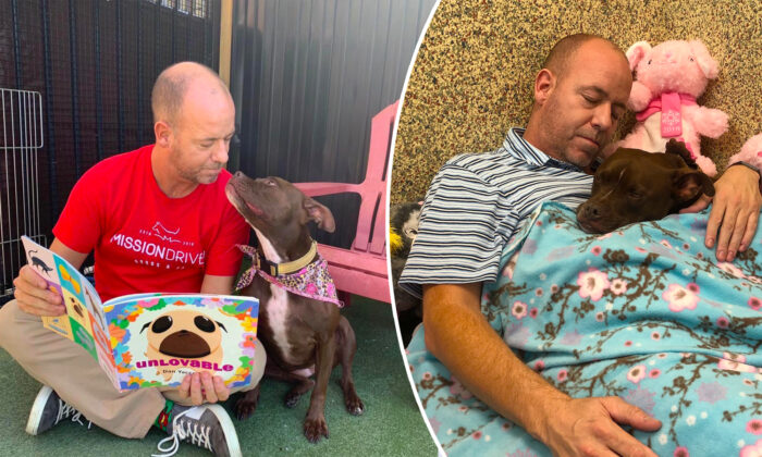 Un bénévole d&rsquo;un refuge pour chiens emménage dans le chenil d&rsquo;une chienne solitaire alors que plus personne ne voulait l&rsquo;aider à se faire adopter