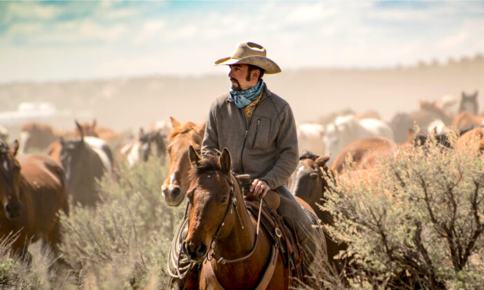 Un cowboy, attristé de voir des mustangs sauvages en captivité, dédie 4450 hectares à un sanctuaire de chevaux sauvages