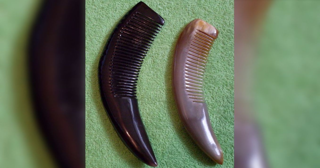 Dordogne : elle fait partie des derniers artisans français à fabriquer des peignes en corne