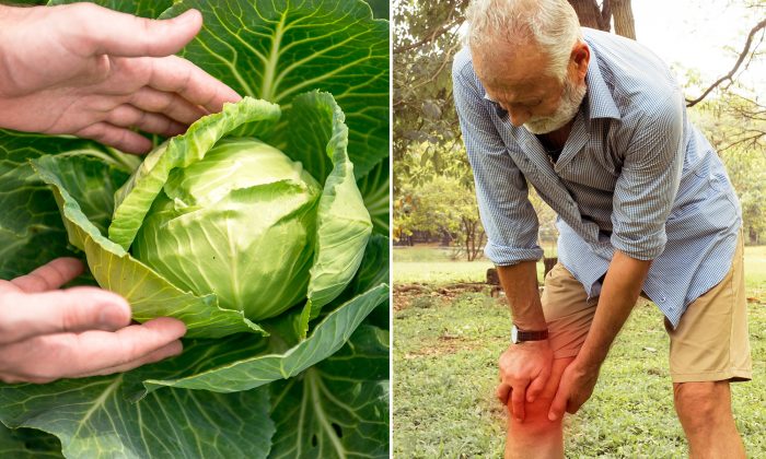 Dites adieu à vos douleurs articulaires en une heure avec ce « bandage au chou »