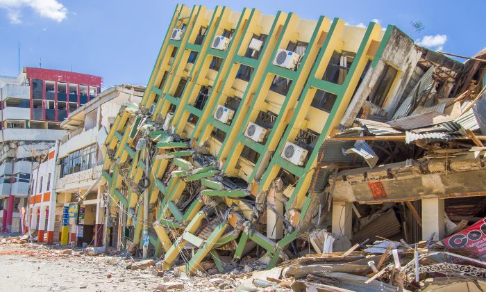 Un chien héros décédé après avoir sauvé 7 personnes des décombres d&rsquo;un tremblement de terre est honoré