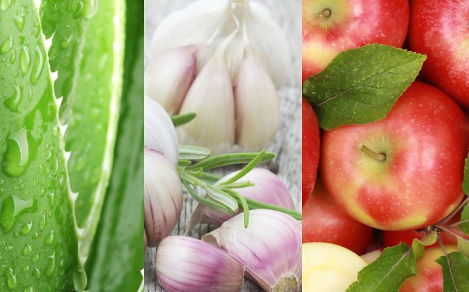 Top 5 des aliments d&rsquo;origine végétale qui améliorent votre digestion