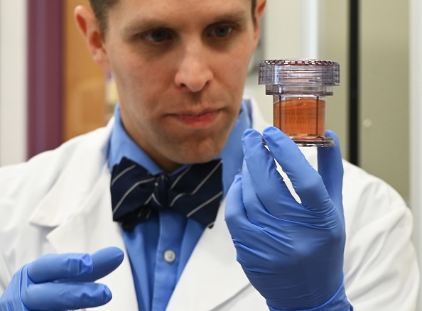 Pays de Galles: une cellule «universelle» capable de s&rsquo;attaquer à tous les cancers a été découverte