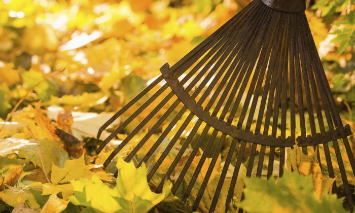 4 bonnes pratiques pour une vie vraiment saine