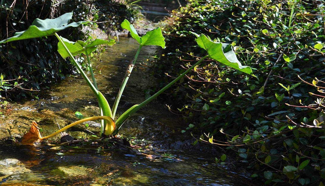 Des milliers de cours d&rsquo;eau effacés des cartes préfectorales, favorisant l&rsquo;épandage des pesticides