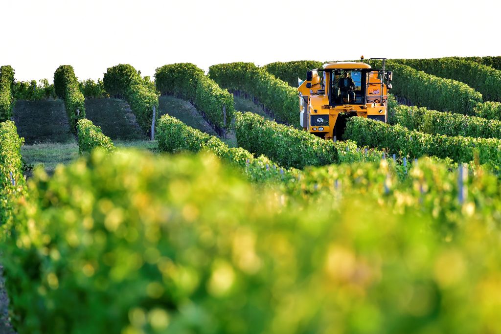 Les avantages des émissions de CO2 pour l&rsquo;agriculture dépassent les coûts pour les 30 prochaines années