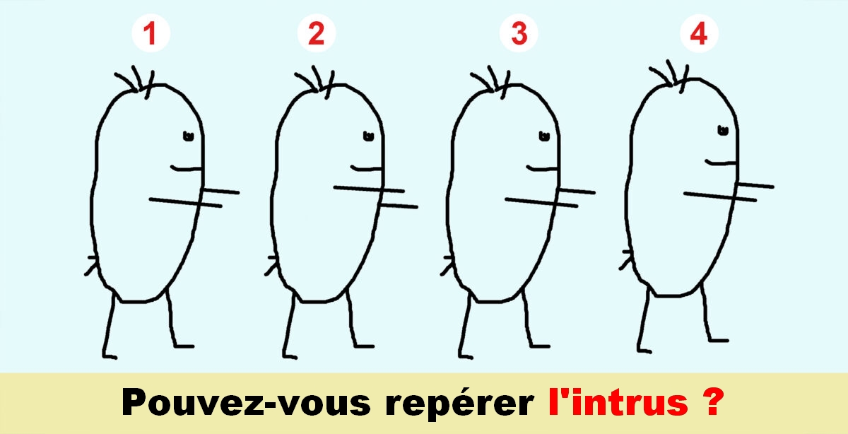 Examinez attentivement ces 4 énigmes et essayez de trouver l&rsquo;intrus
