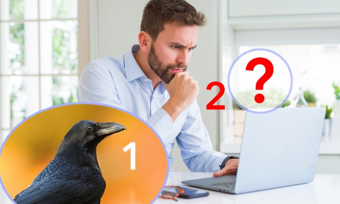 Illusion d&rsquo;optique : la plupart des gens voient un corbeau noir sur cette photo – mais pouvez-vous voir ce qui s&rsquo;y trouve vraiment?
