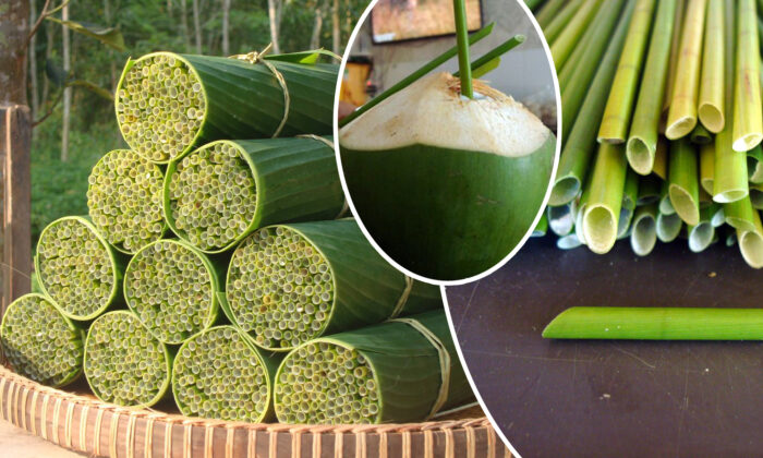 Un Vietnamien fabrique des pailles biodégradables à partir d’herbes sauvages pour résoudre le problème du plastique dans le monde