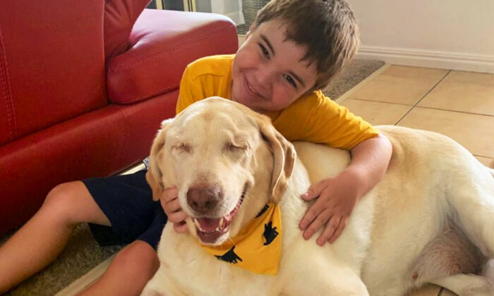 Un vieux chien aveugle et en surpoids est abandonné à la fourrière jusqu&rsquo;à ce qu&rsquo;une famille le trouve sur les réseaux sociaux