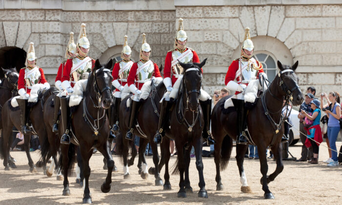 Un ancien soldat adopte un cheval militaire à la retraite 20 ans après leur rencontre: «Il m&rsquo;a reconnu instantanément»