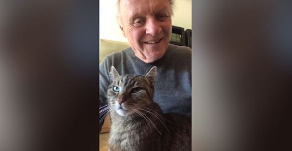 Confinement: Anthony Hopkins profite de son temps libre pour jouer du piano avec son chat