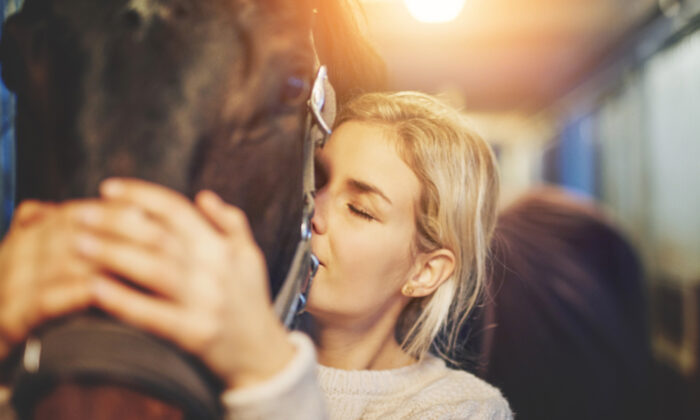 2 rottweilers héroïques interviennent et sauvent de l’abattage les chevaux d&rsquo;une femme de Floride