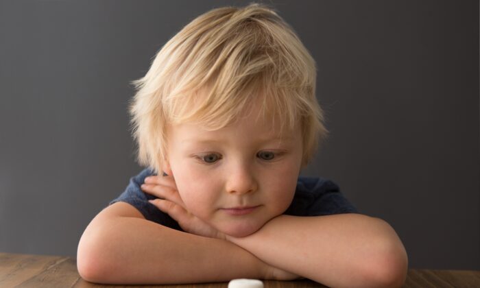 Les enfants réussissent mieux au test de la guimauve lorsqu&rsquo;ils coopèrent