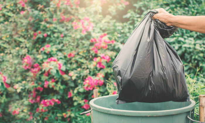 Une maman chienne négligée et jetée à la poubelle sans ses chiots est secourue