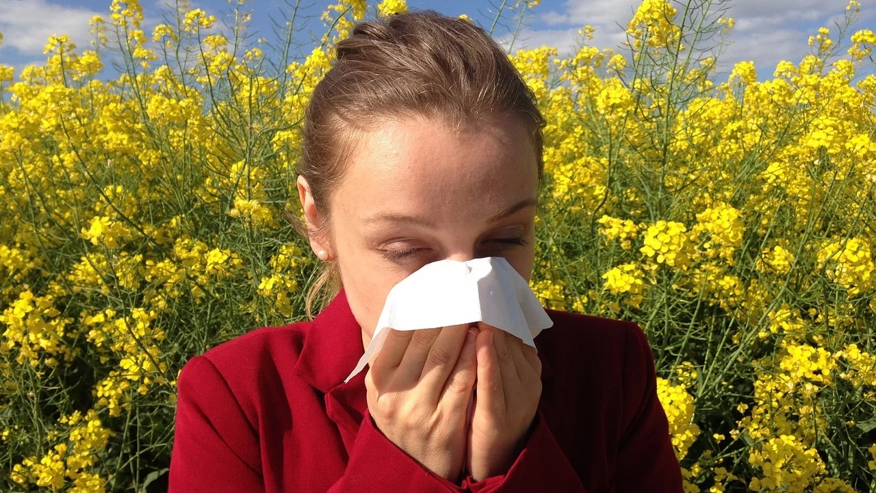 Pollens et allergies: des facteurs aggravants pour les malades du coronavirus