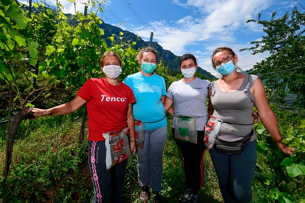De la Roumanie à l&rsquo;Italie, en avion pour le travail dans les vignes