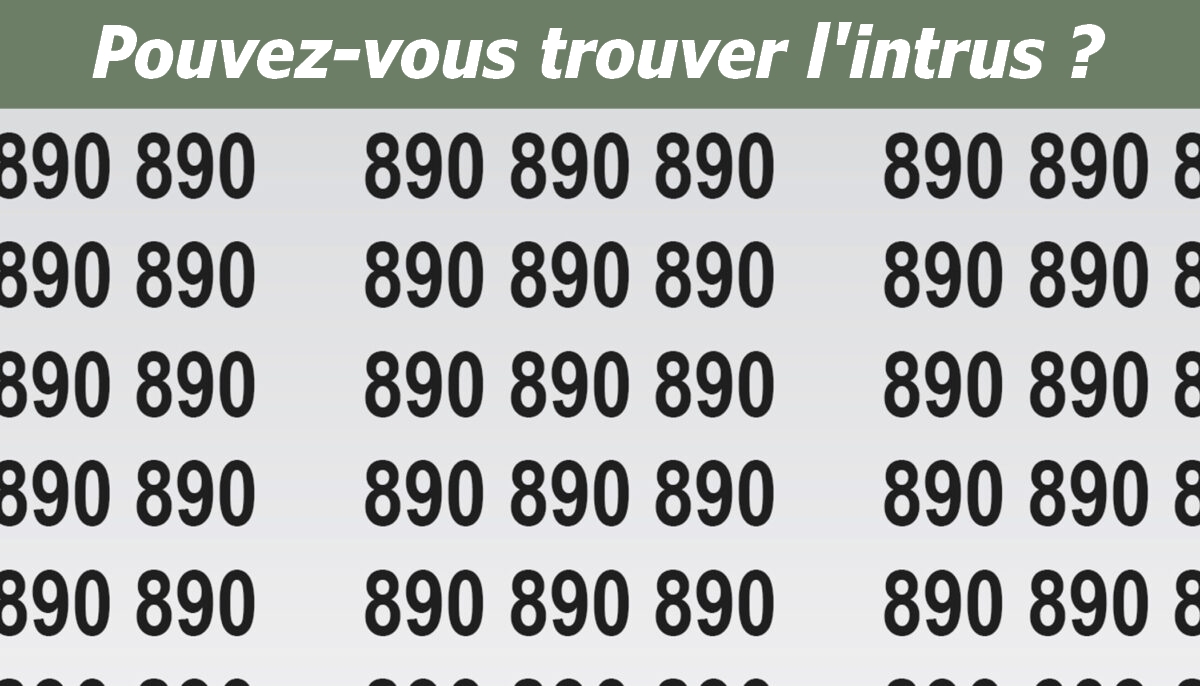 Puzzles : Pouvez-vous repérer l&rsquo;intrus en moins de 10 secondes?