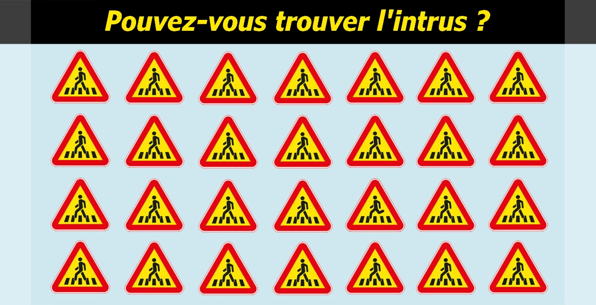 Énigmes en images : À quelle vitesse pouvez-vous repérer l’intrus dans ces images?