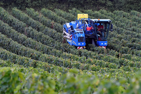 Les stocks s&rsquo;accumulent dans le vignoble bordelais