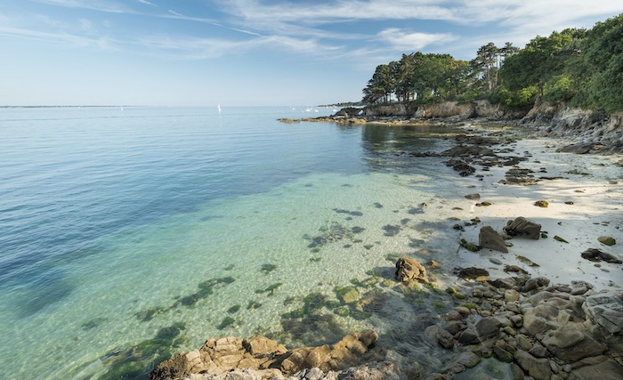Déconfinement : plusieurs plages finistériennes fermées pour protéger la reproduction des oiseaux