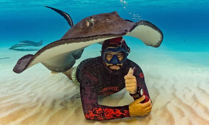 Une raie amicale forme un abri avec son corps pour un plongeur lors d’une séance photo sous-marine au fond de l&rsquo;océan