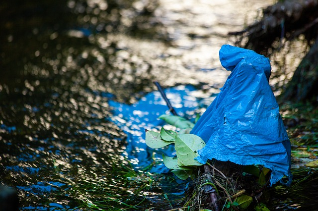 Lyon : 3,5 tonnes de déchets repêchés dans le Rhône par des plongeurs bénévoles