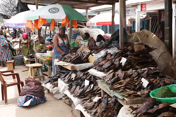 Afrique du Sud: des carpes invasives, salut des plus pauvres en temps de Covid