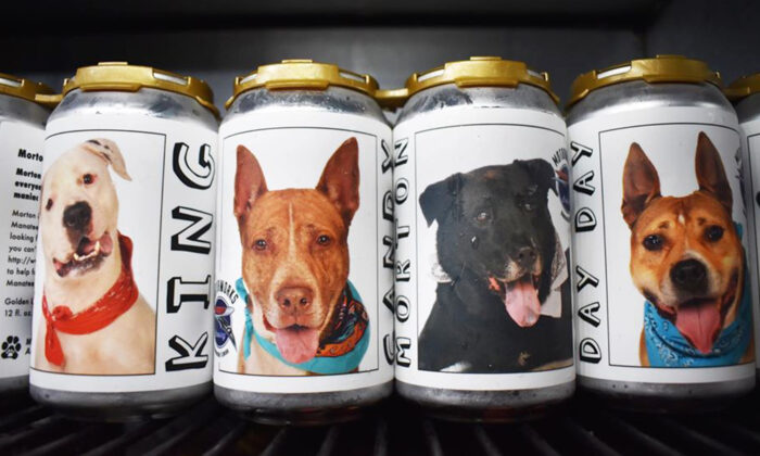 Une propriétaire repère la photo de son chien sur une canette de bière 3 ans après sa disparition