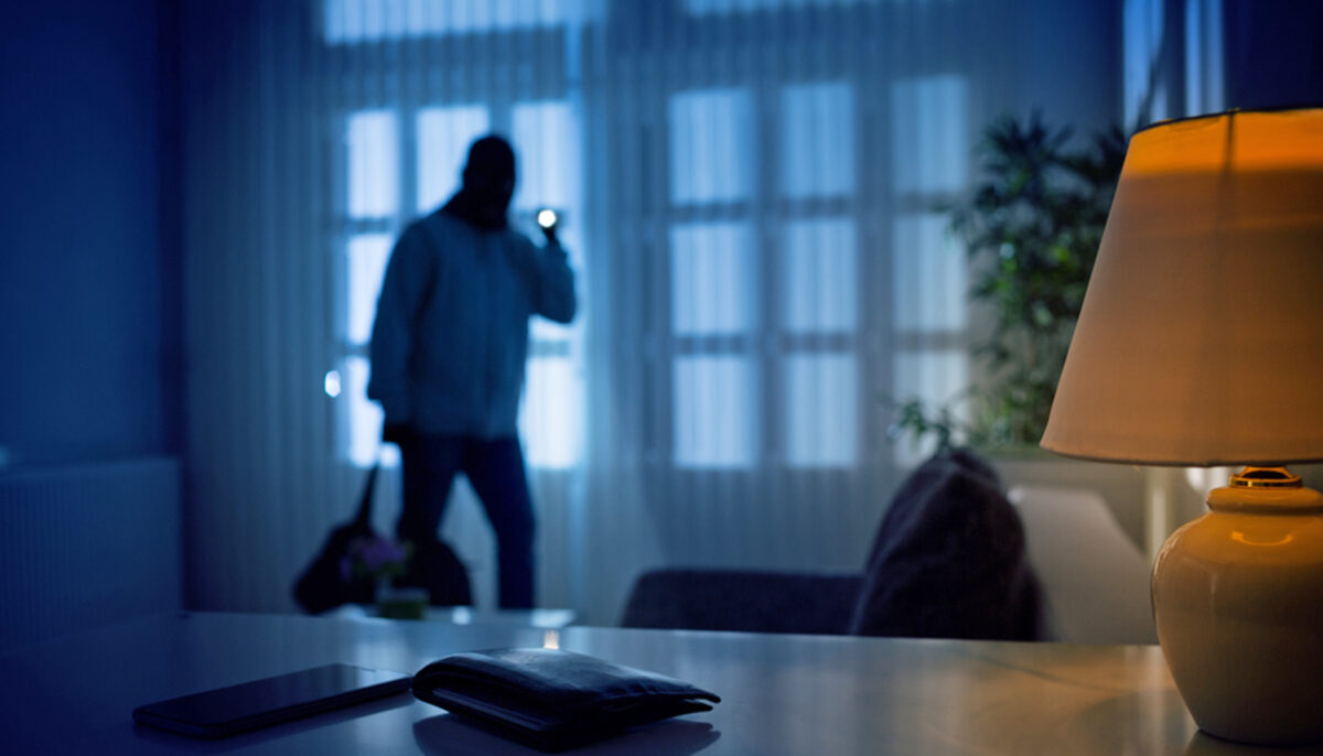 Un pitbull s&rsquo;attaque à un cambrioleur et évite à une propriétaire de 60 ans handicapée d&rsquo;être étranglée