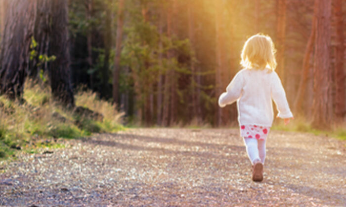 Une enfant disparaît dans les bois avec un épagneul cocker et est repérée par un voisin 24 heures plus tard