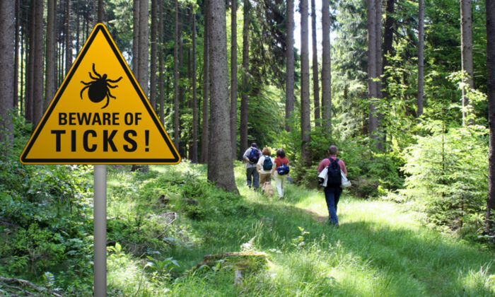 Une femme meurt après avoir contracté un virus transmis par les tiques – la famille met en garde le public