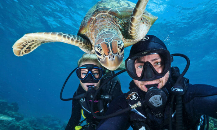 5 des plus drôles photographies d&rsquo;animaux pour égayer votre journée