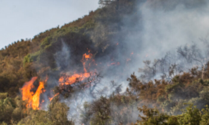 Des pompiers en repos se présentent pour sauver des maisons pendant les feux de brousse dans l&rsquo;État de Washington