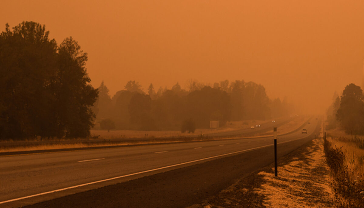 24 huskies sauvés d&rsquo;une zone d&rsquo;évacuation de niveau 3 au milieu d&rsquo;un incendie en Oregon
