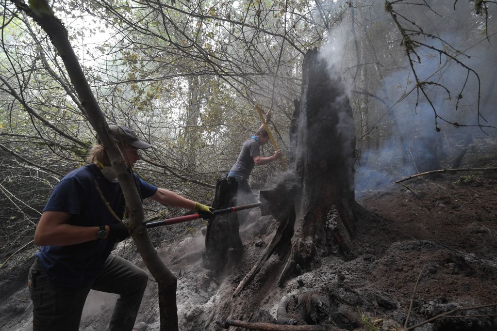 Les voisins font équipe avec les pompiers pour protéger leur propre maison des incendies en Orégon