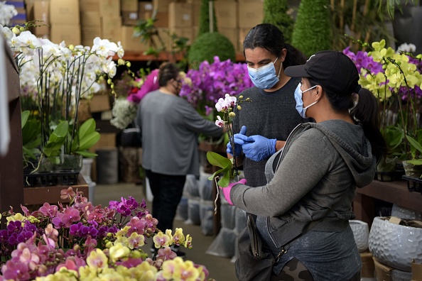 Covid-19 : 15% des fleuristes pourraient disparaître à cause de la crise
