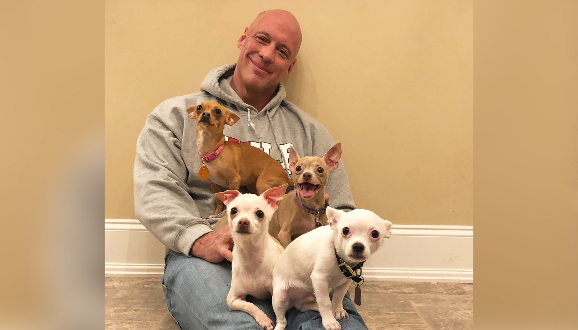 Un homme au cœur brisé qui a été sauvé par un chihuahua part en mission pour sauver plus de 50 petits chiens