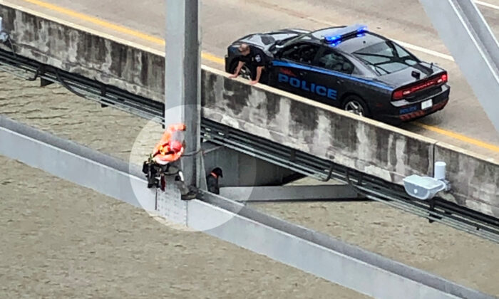 Un ingénieur sauve une chienne enceinte piégée sur un pont à 35 mètres au-dessus du Mississippi