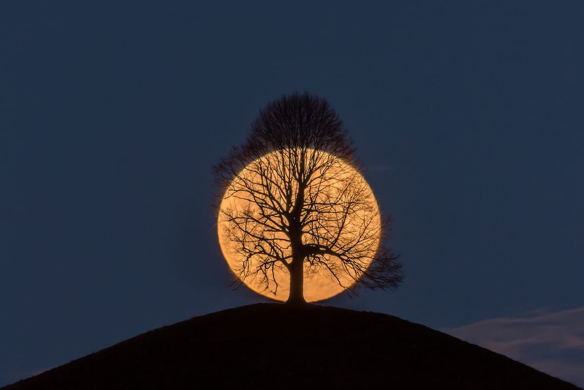 Cette photo de la pleine lune derrière un arbre sans feuilles est devenue virale – le photographe partage son histoire