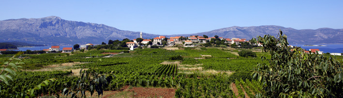 L’île de Korčula, un coin de paradis en Croatie