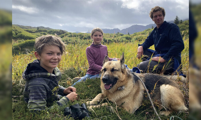 Un berger allemand survit à une blessure à la tête après avoir défendu sa famille lors d&rsquo;une attaque d&rsquo;ours noirs en Alaska