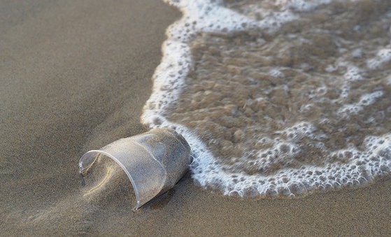 Sacs, fils de pêche, emballages… les animaux marins s&rsquo;étouffent sous le plastique