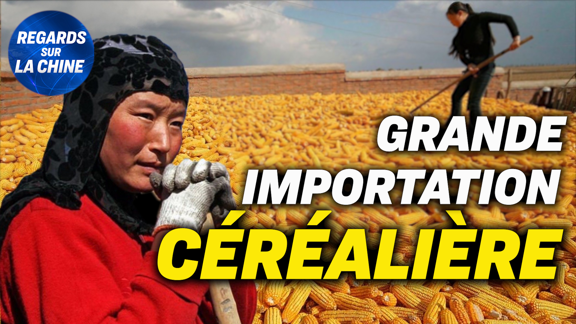Focus sur la Chine – Importations massives de blé en Chine