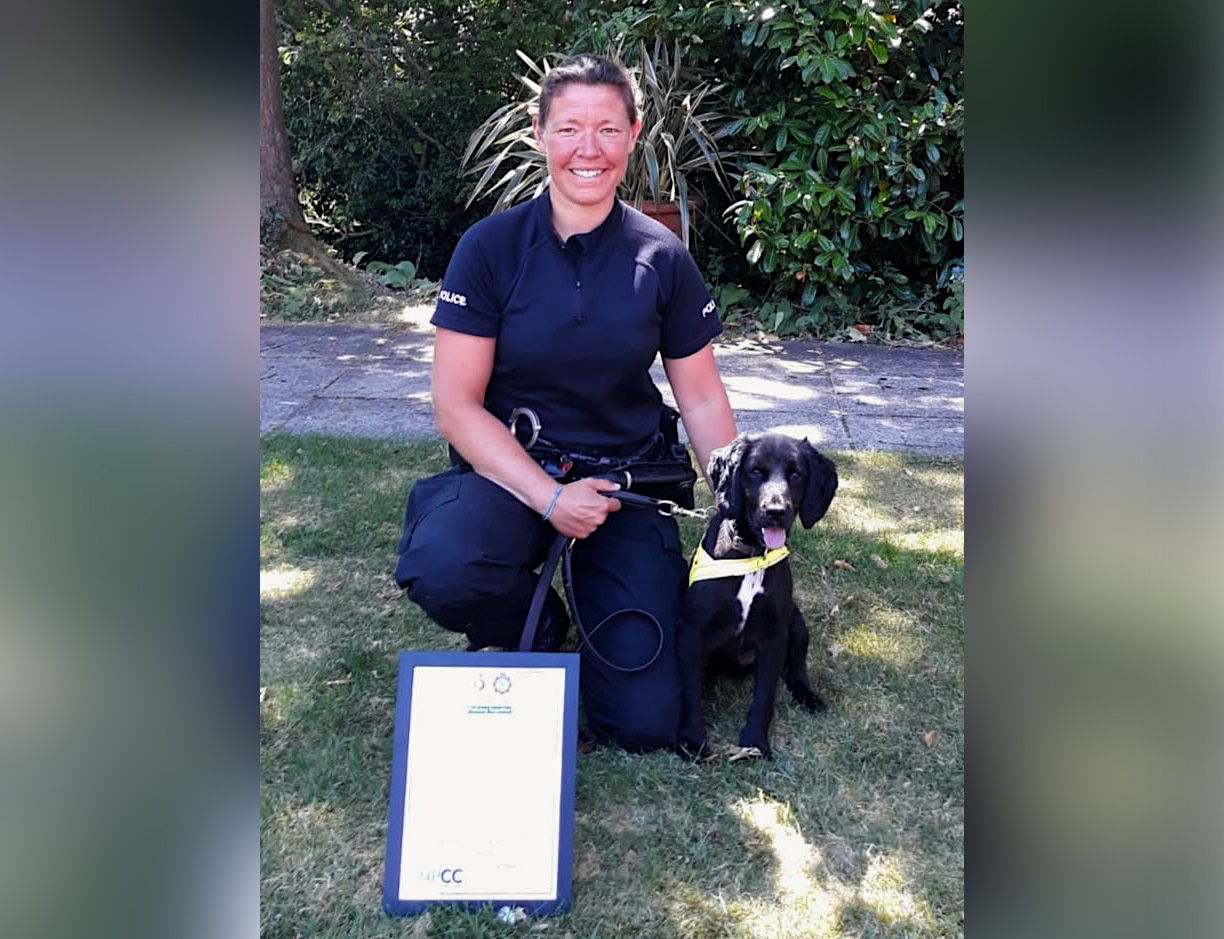 Un chiot abandonné trouvé dans un seau sur le bord de la route reçoit son diplôme comme chien renifleur pour la police