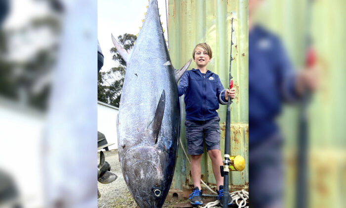 Un jeune garçon de 10 ans capture un énorme thon de presque 90kg au large des côtes de Tasmanie, établissant ainsi un nouveau record