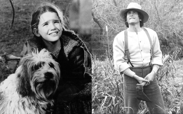 « La Petite Maison dans la prairie » : une nouvelle version de la série culte en préparation, 38 ans plus tard