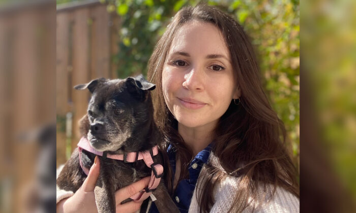 Un chien âgé abandonné dans un sac plastique sur le bord de la route se rétablit et trouve une nouvelle maison